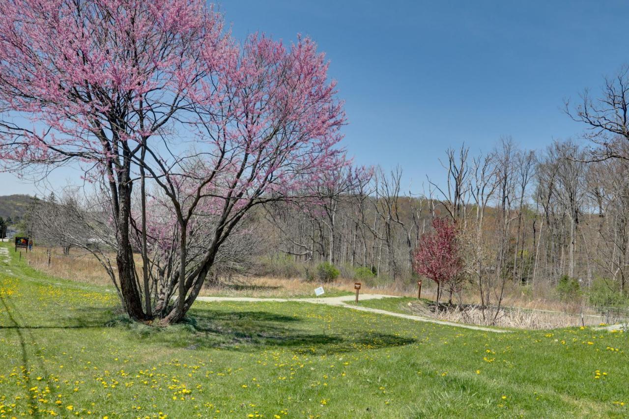 Pet-Friendly Pennsylvania Vacation Rental With Pool! Laughlintown 外观 照片